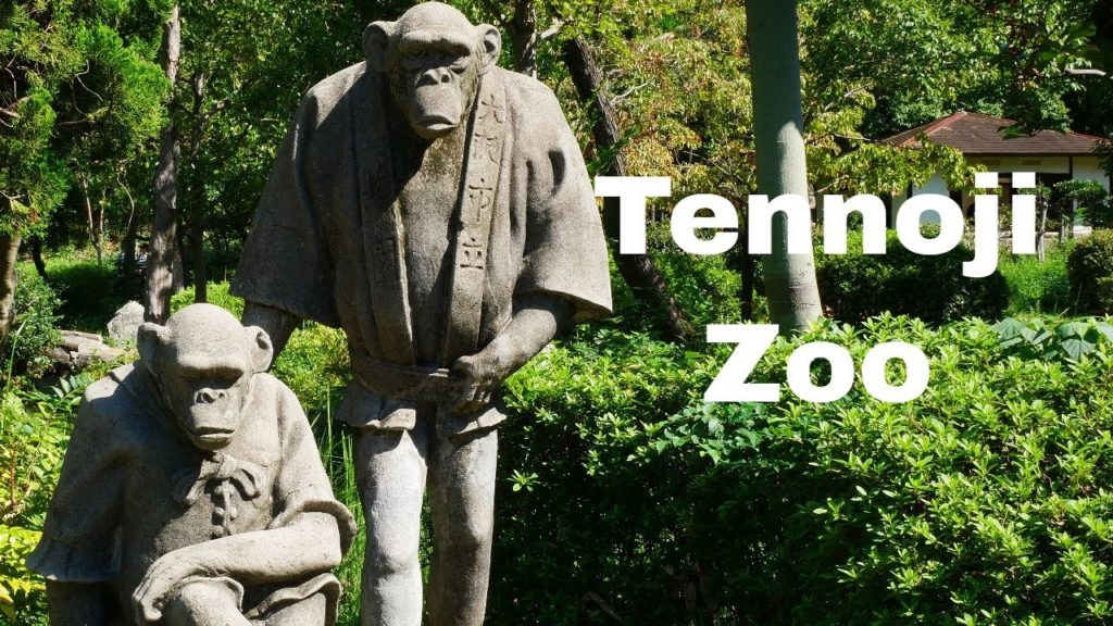 Tennoji Zoo | Osaka Japan * Dani Travel TV Tennoji Zoo | Osaka Japan * Dani Travel TV