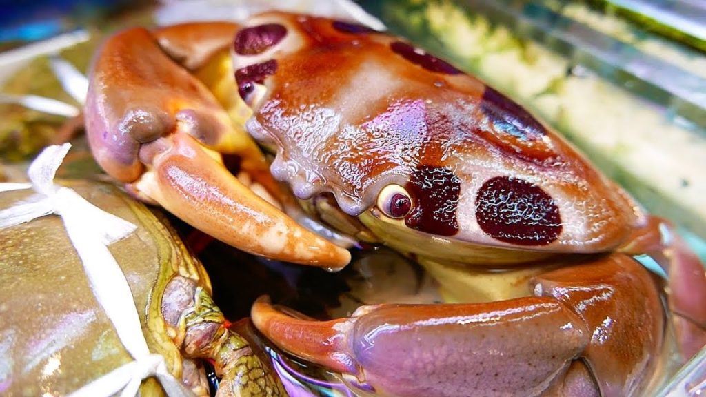 Japan Street Food 7-ELEVEN CRAB Japanese Seafood Okinawa
