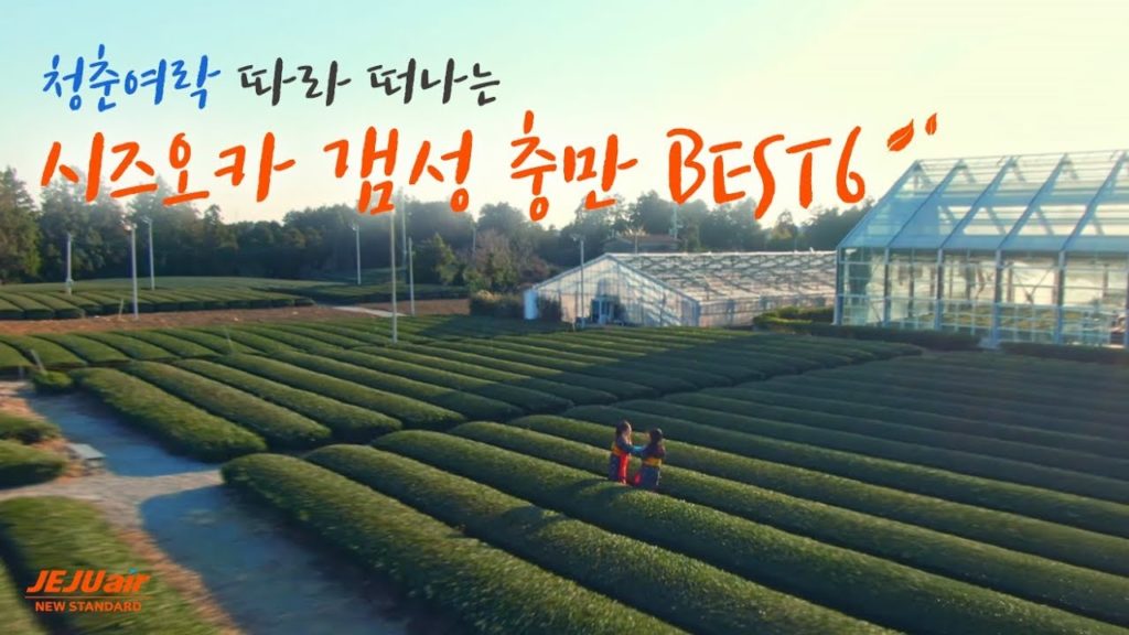 작정하고 청춘여락 따라 일본 소도시 시즈오카 투어해봤다!