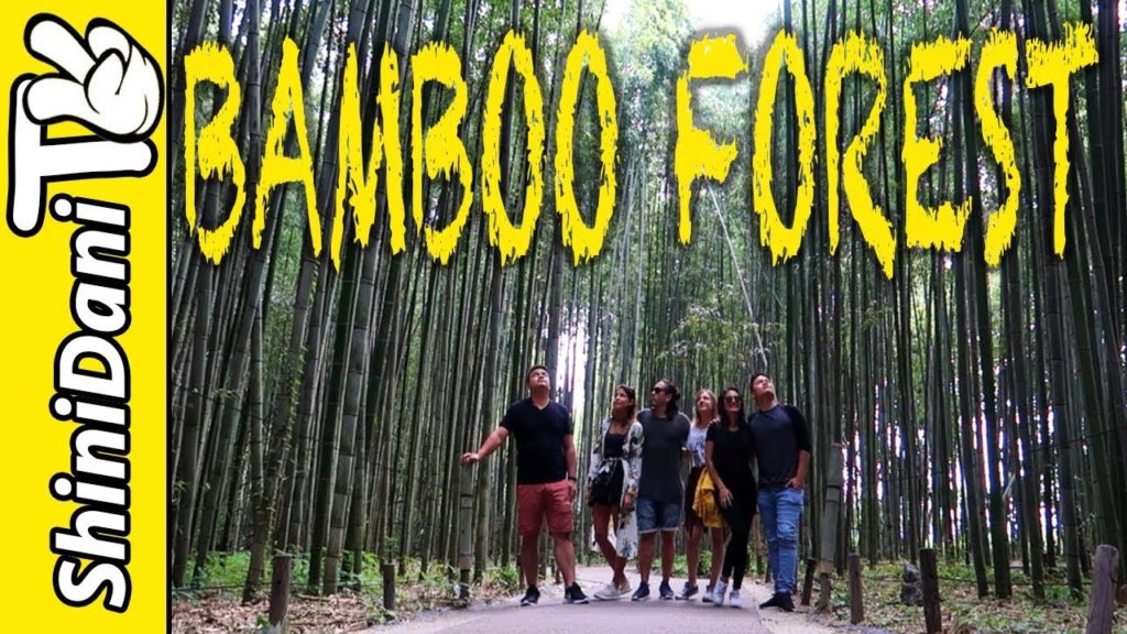 Japan Travel Vlog Day 3 - Arashiyama 嵐山 Bamboo Forest Kyoto