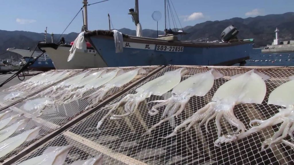 Atami one of 3rd Great Sea & Hot Spring Resorts in Japan