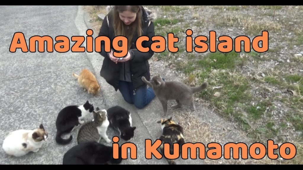 Cat Island in Kumamoto 猫の島 湯島 Cat Island in Kumamoto 猫の島 湯島