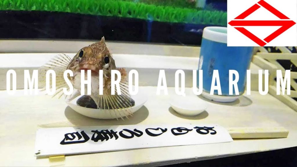 Yokohama Omoshiro Aquarium 2018 | ヨコハマおもしろ水族館 夏休み特別企画「海の危険生物を学ぼう！」