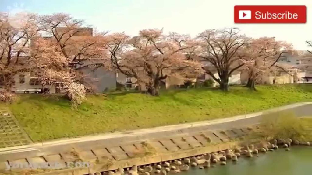 101. Funaoka in Sakura time, Sendai, Japan 101. Funaoka in Sakura time, Sendai, Japan