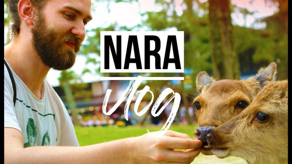 Feeding the deer in NARA | Japan vlog (奈良市) Feeding the deer in NARA | Japan vlog (奈良市)