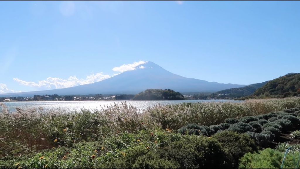 Lake Kawaguchi at Mt. Fuji AND Wine Tasting in Japan! [Vlog 79]