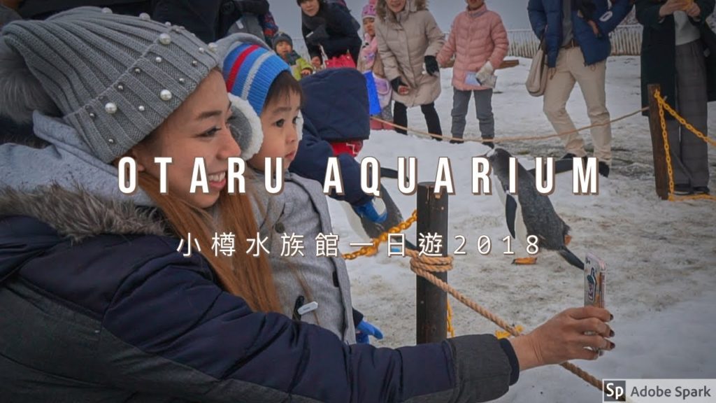 2018 1 day in Otaru Aquarium | 2018 小樽水族館一日遊
