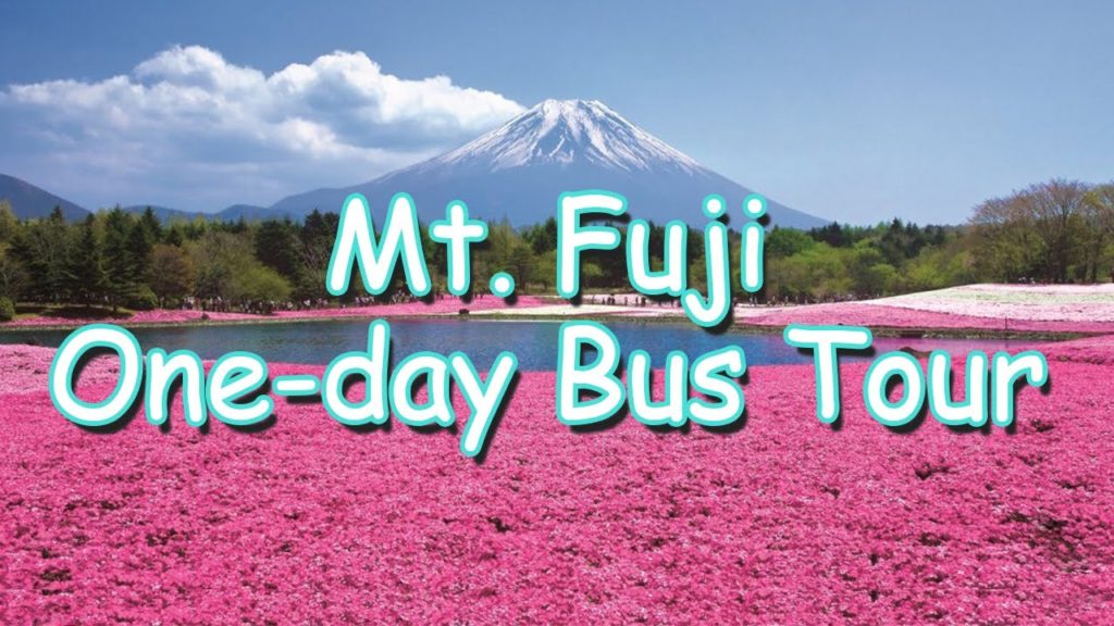 Mt. Fuji One-day Bus Tour