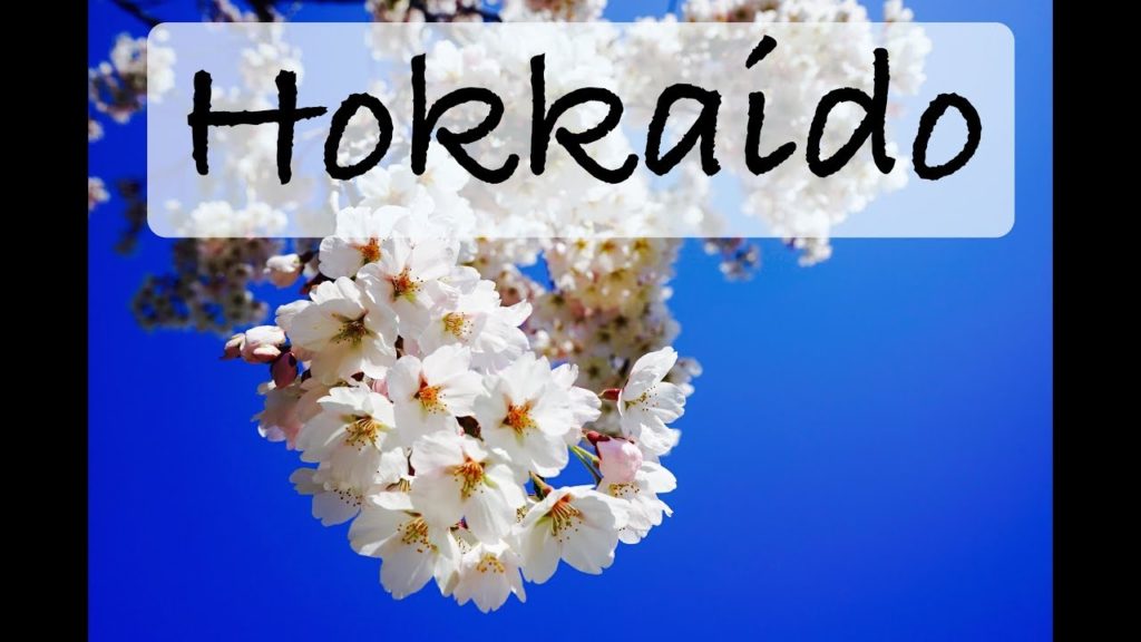 A Road Trip In Hokkaido -- Traveling In Japan By Car