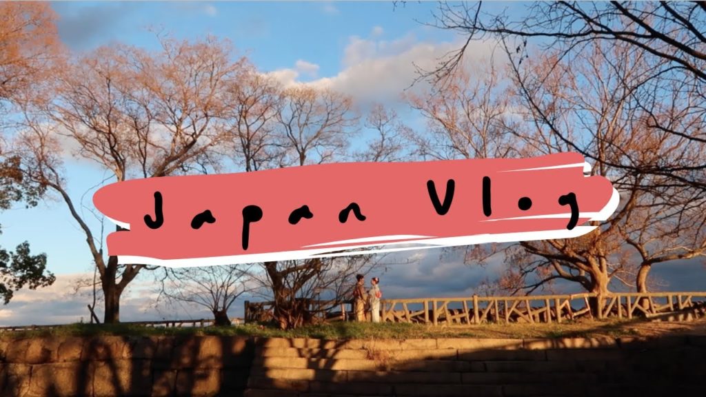 Japan Trip | December 2017