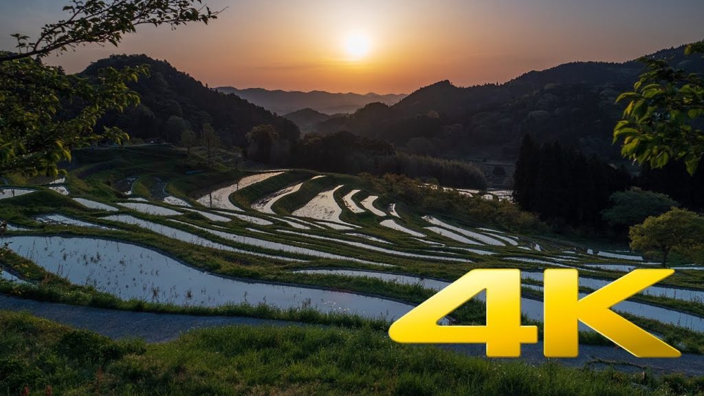 Oyama Rice Terraces - Chiba - 大山千枚田 - 4K Ultra HD