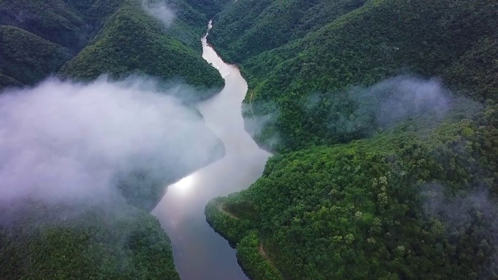 Amami Ōshima: Southern Island of Nature and Culture | nippon.com