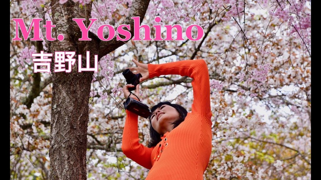 Japan Travel: Mt. Yoshino, Kii Peninsula 日本纪野半岛吉野山 Japan Travel: Mt. Yoshino, Kii Peninsula 日本纪野半岛吉野山