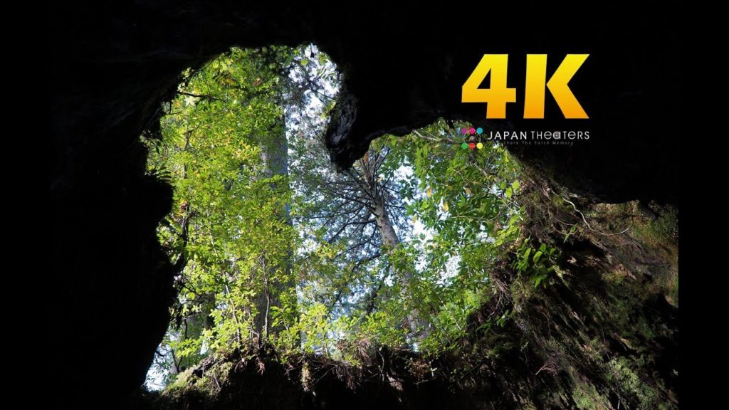 #12 "鹿児島県 Kagoshima Pref ,Japan" 日本一周撮影旅