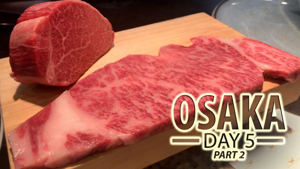 OSAKA VLOG DAY #005 PART 2 | MOURIYA KOBE BEEF RESTAURANT | BEST BEEF STEAK IN THE WORLD!