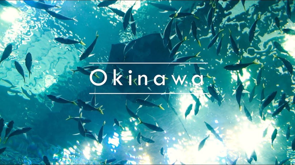 [Travel to Okinawa ] SONY FDR X3000, ILCE6500  SEL18105 sigma dcdn f1.4 30mm