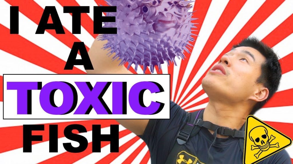 Eating POISONOUS Fugu in Osaka Japan: Street Food Travel tips