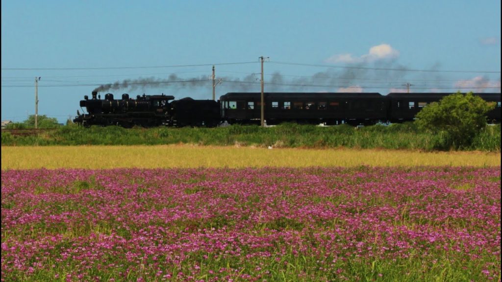 Best Railway Shots of my Last Trip to Japan 'Golden Trip 2015'