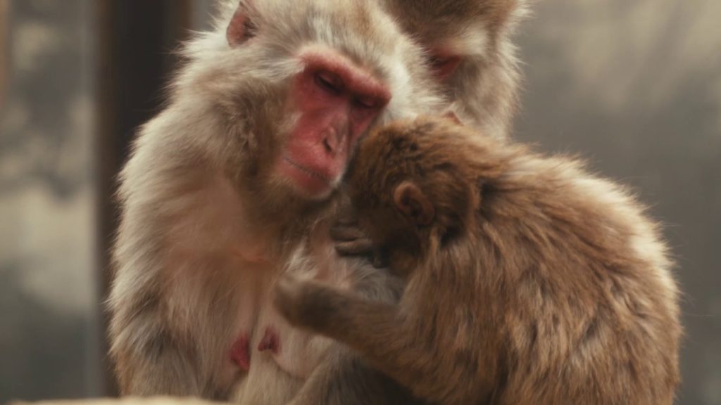 One Day Fun Day ! Ride the Keio Line[Train travel, Tokyo Japan]