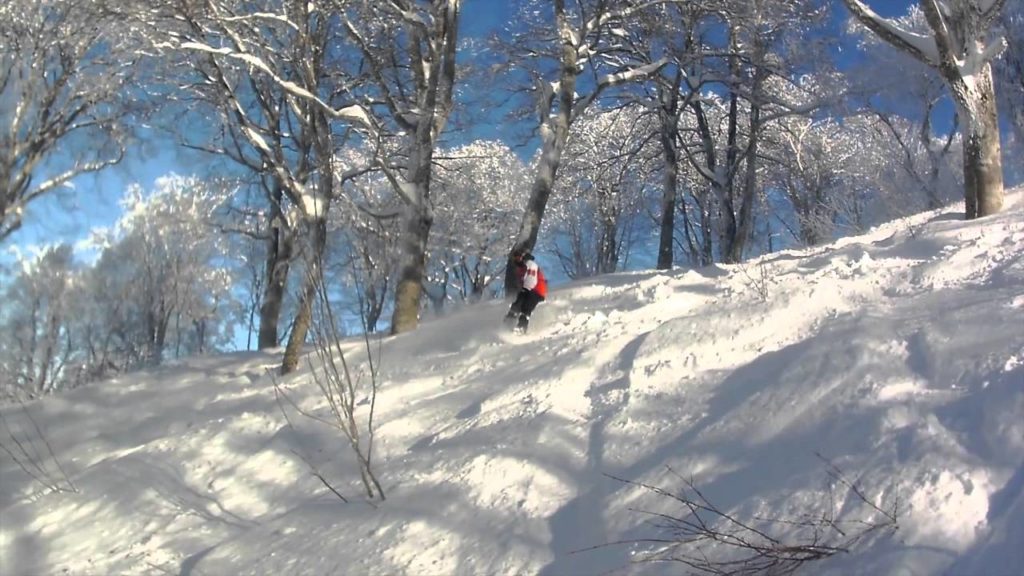 Skiing in Japan (Nagano)