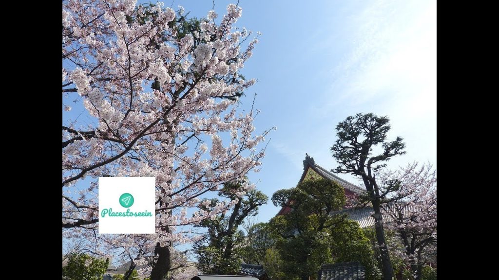 Tokyo Travel Guide – Japanese Adventure Tokyo Travel Guide - Japanese Adventure