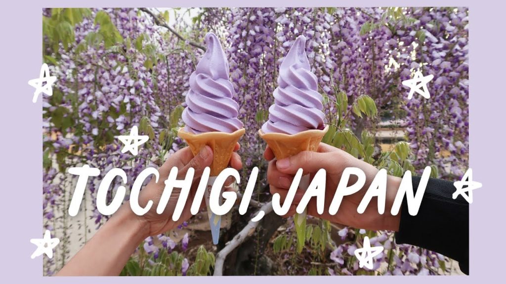 Day Trip to Nikko & Wisteria at Night (Ashikaga Flower Park) | Tochigi Prefecture | Rainbowholic 🌈 Day Trip to Nikko & Wisteria at Night (Ashikaga Flower Park) | Tochigi Prefecture | Rainbowholic 🌈