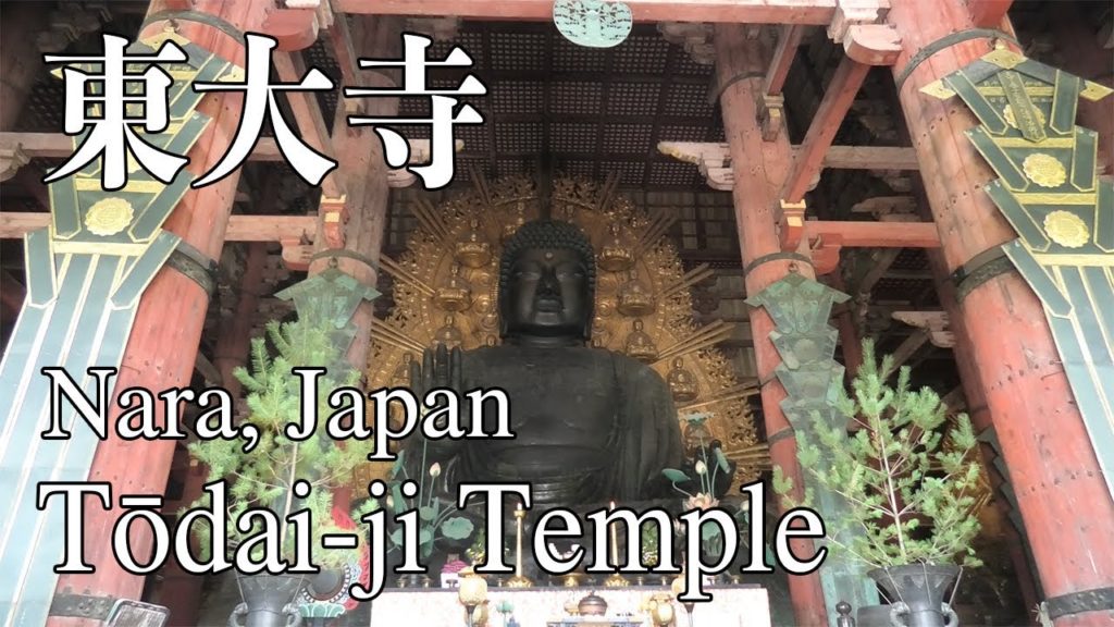 Tōdai-ji Temple in Nara｜Japan Travel Vlog｜奈良の東大寺・大仏や御朱印など見どころを観光