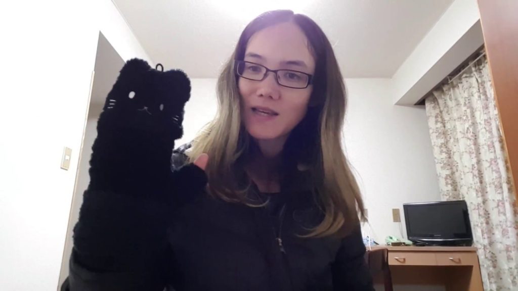 Mount Fuji - My Stay in Kawaguchiko