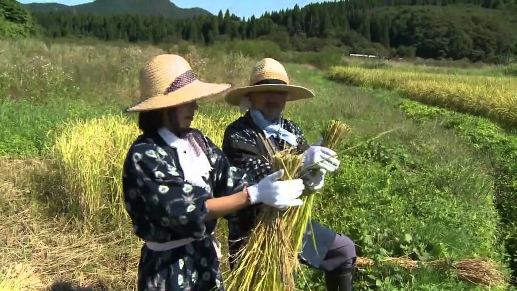 〔Akita Semboku Sightseeing〕Experience of Traditional Japanese Country Life