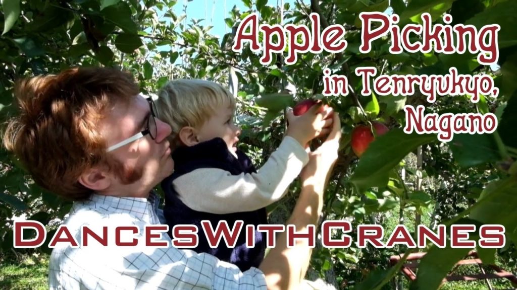 Apple Picking in Nagano Prefecture