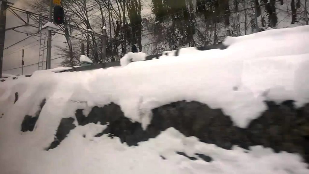 Local train from Nagano to Matsumoto