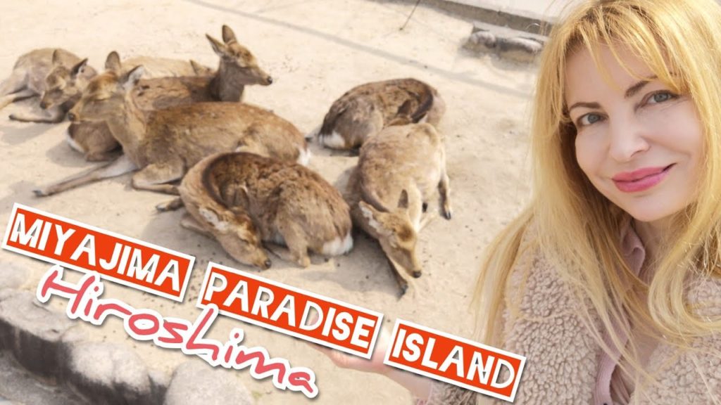 Adeyto 🦌 MIYAJIMA my favorite place in Japan SAKURA Deers Oysters HIROSHIMA 📽️ HUAWEI P20 PRO