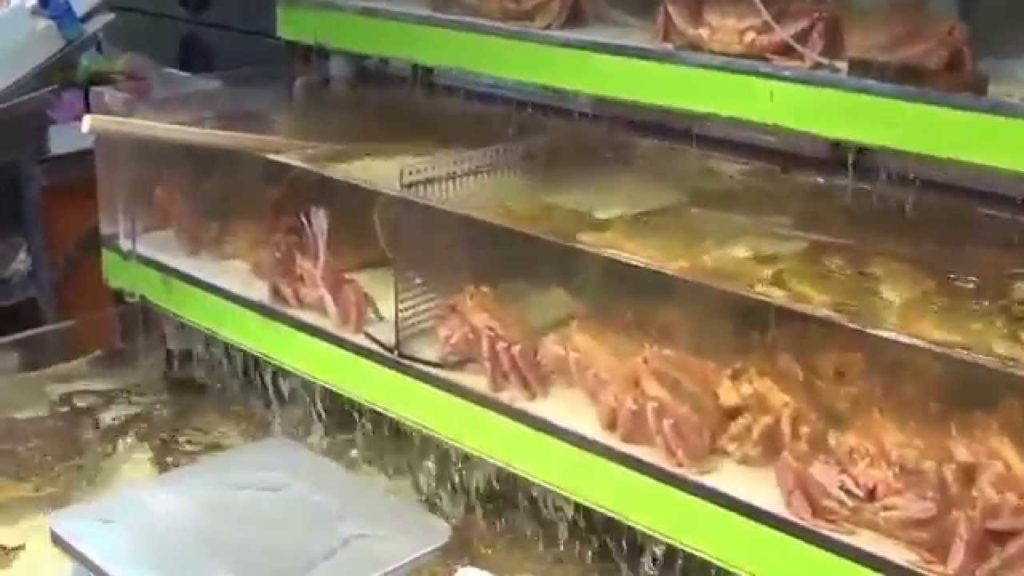 Travel Jepang: Kota Hakodate makanan laut yang lezat dan segar Gunung Hakodate, Hokkaido 50