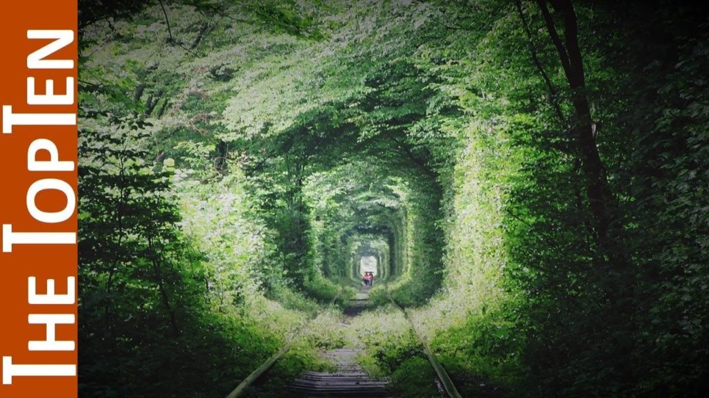 The Top Ten Most Amazing Tree Tunnels