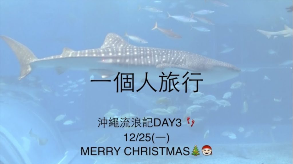 [VLOG-Solo travel in Okinawa] Ep3一個人沖繩流浪記之三(day3)