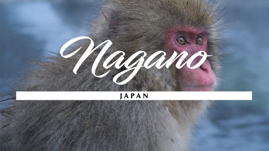SNOW MONKEY PARK (地獄谷野猿公苑), a Nagano winter adventure!