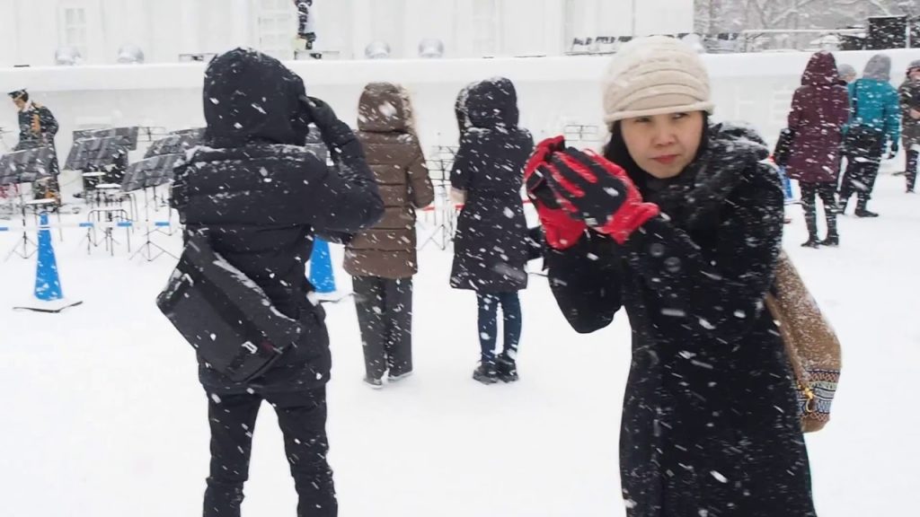 Sapporo Snow Festival Winter 2019 - Odori Park