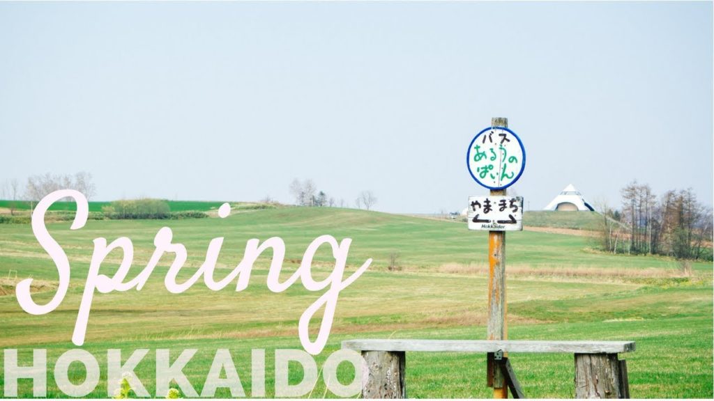 Best Time to Visit Hokkaido?  | 4K VLOG