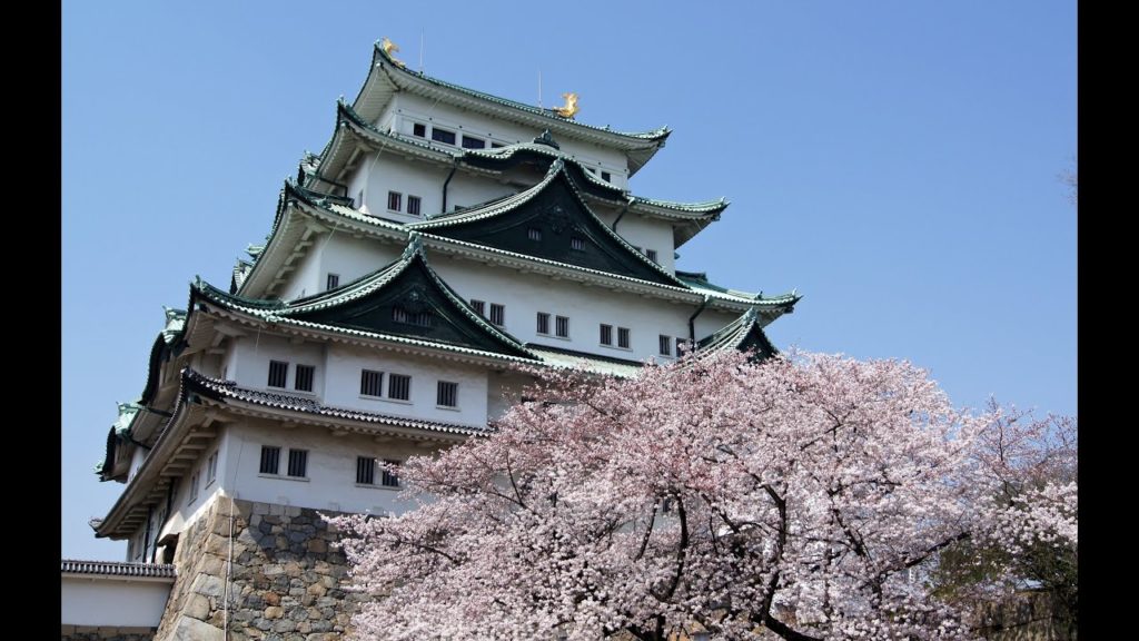 Nagoya Castle X Sakura ᴴᴰ ● 桜 名古屋城