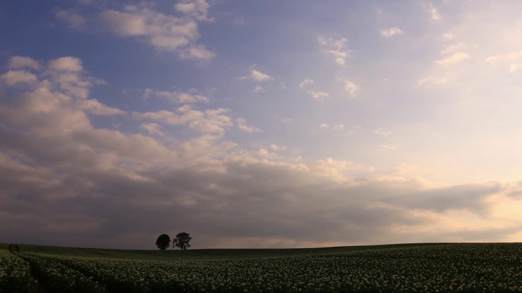 Japan 1 Minute Travel Hokkaido Biei