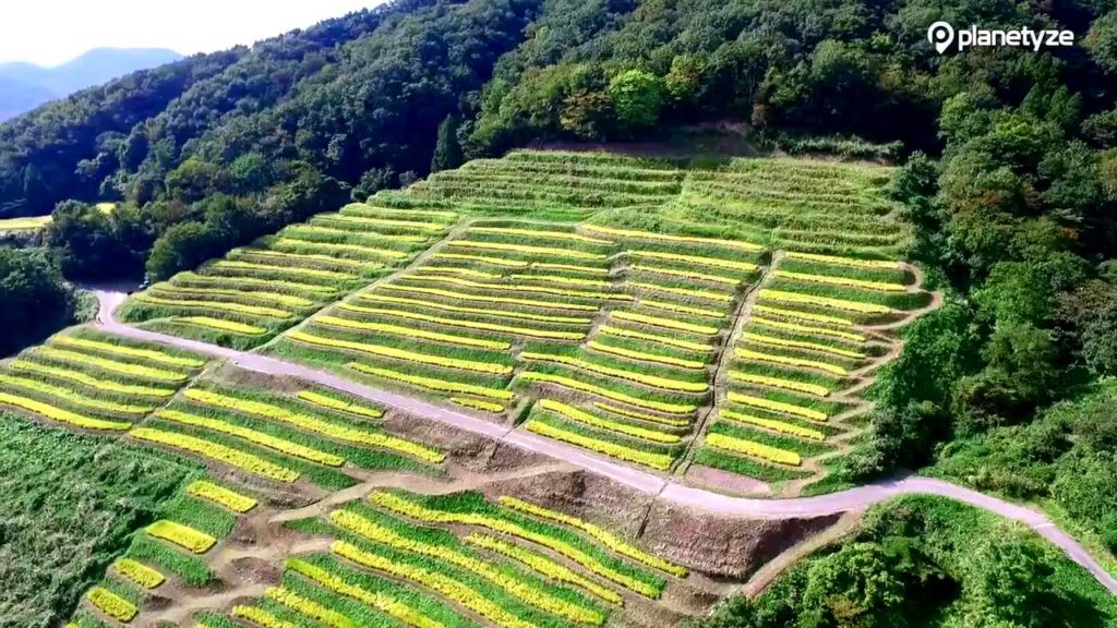Ogura Senmaida, Sado | One Minute Japan Travel Guide Ogura Senmaida, Sado | One Minute Japan Travel Guide