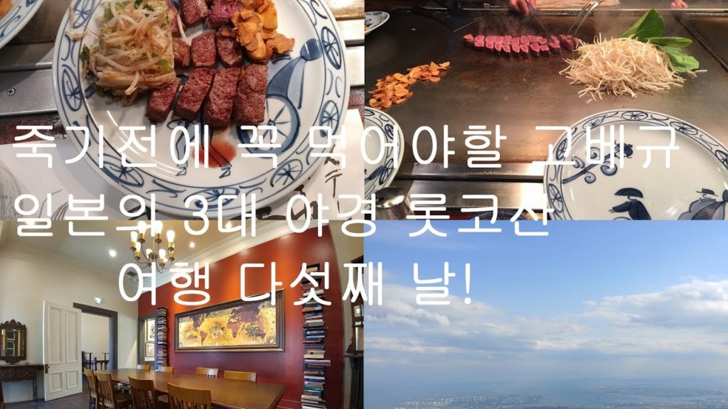나고야&간사이 여행 다섯째 날!(고베규Kobe Beef&일본의 3대야경 롯코산 Rokko 六甲山) Nagoya&Kansai travel Day 5. 関西地方&名古屋市 旅行