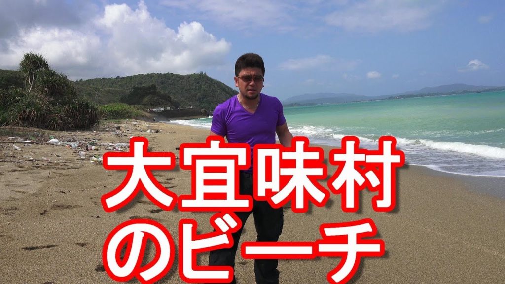 沖縄県北部・大宜味村のビーチ(海岸)Beach in Ogimi-village in Okinawa,Japan 沖縄県北部・大宜味村のビーチ(海岸)Beach in Ogimi-village in Okinawa,Japan