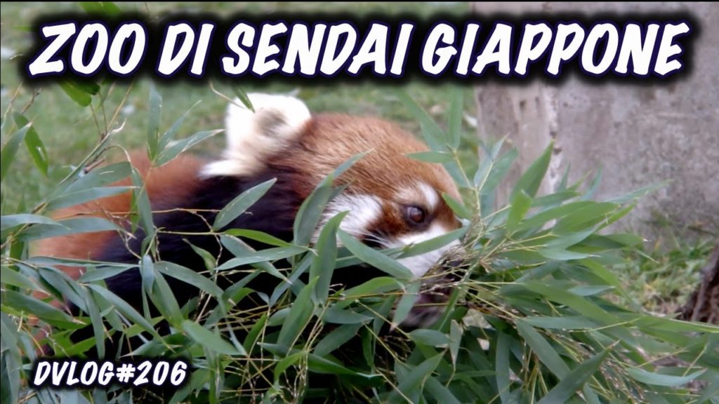 ZOO DI SENDAI GIAPPONE