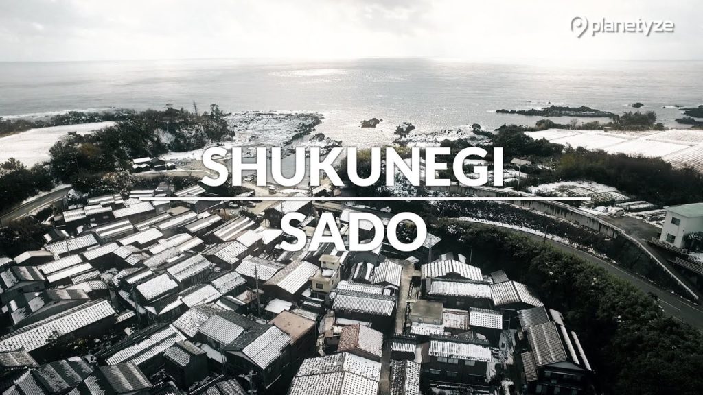 Shukunegi in Winter, Sado | One Minute Japan Travel Guide Shukunegi in Winter, Sado | One Minute Japan Travel Guide