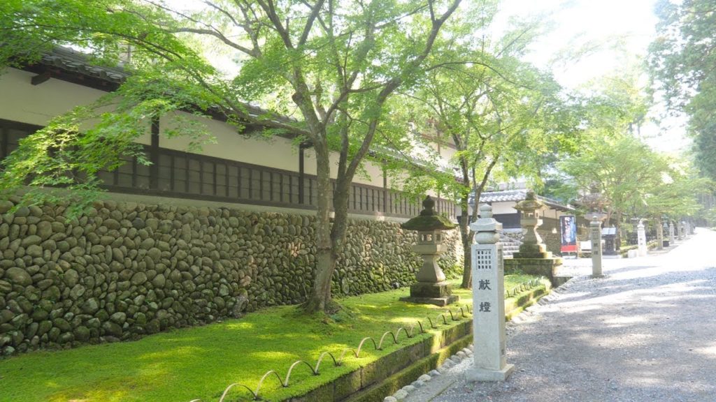 What kind of face do you want to?