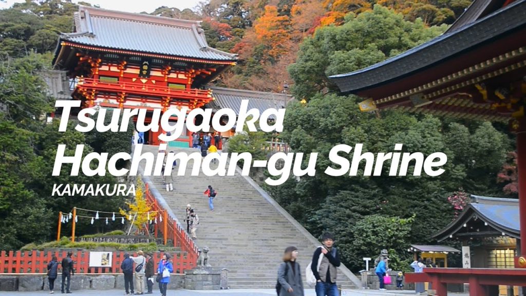 Tsurugaoka Hachiman-gu Shrine,Kamakura | Japan Travel Guide Tsurugaoka Hachiman-gu Shrine,Kamakura | Japan Travel Guide