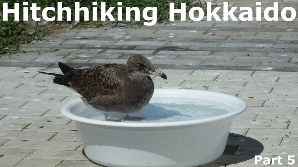 Eric Hitchhikes to Hokkaido | Part 5 - Hachinohe | Summer 2016