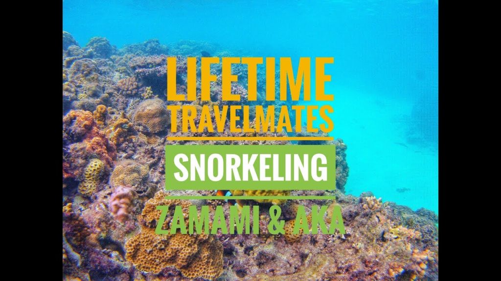 Snorkeling in Zamami & Aka Islands in Okinawa 🏝