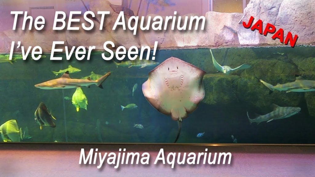 Miyajima Public Aquarium - Near Hiroshima